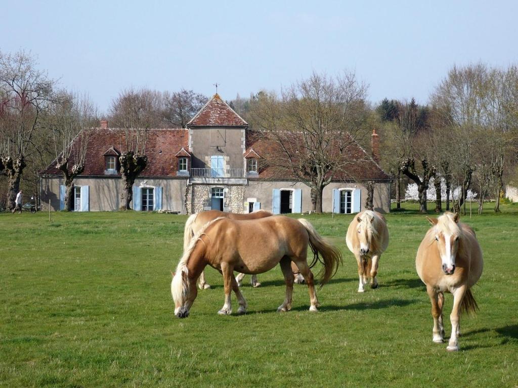 La Cuvellerie Hotel Narcy Buitenkant foto